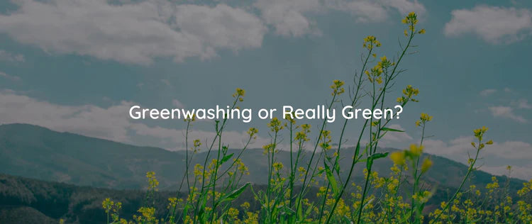 How to Know if a Brand is Truly Sustainable or Not?