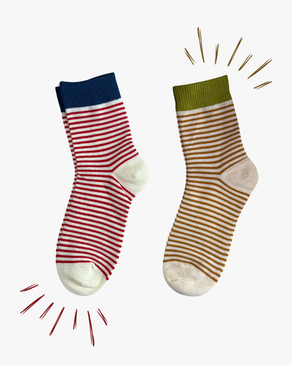 Shoreline ( Pack of 2 )