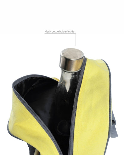 Curious Cat - Ecoright